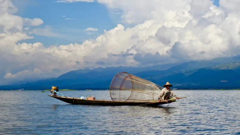 Challenges and efforts of Local Non profit and NGOs In Myanmar